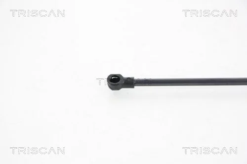 Амортизатор двері задньої Triscan 871029242 ціна, від 8.45 USD