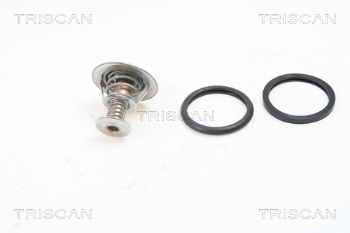 Купити Термостат Mazda 323 F VI BJ