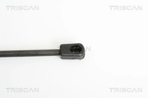 Амортизатор двері задньої Triscan 871011225 ціна, від 10.38 USD