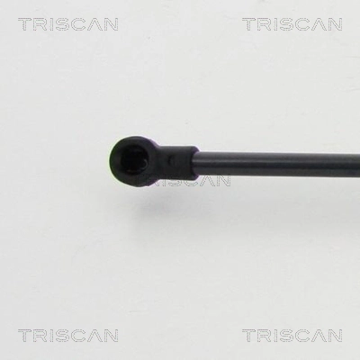 Амортизатор двері задньої Triscan 8710292019 ціна, від 11.40 USD