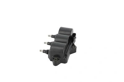 ZS539 Beru Котушка запалювання