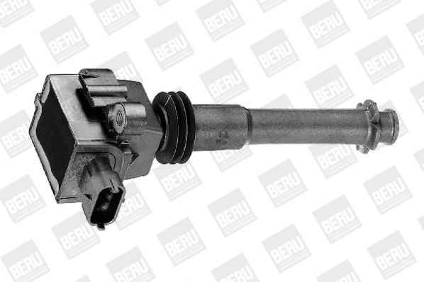 ZS311 Beru Котушка запалювання