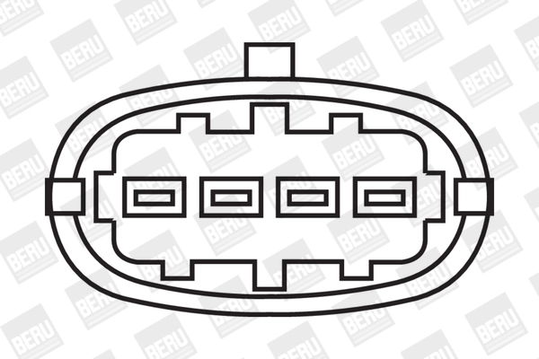 ZS306 Beru Котушка запалювання