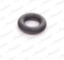 Купити Кільце форсунки Seat Ibiza IV 6J5, 6P1