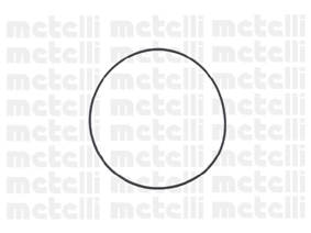 240802 Metelli Насос охолодження
