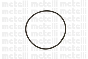 240609 Metelli Насос охолодження