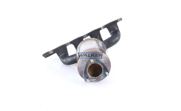 Каталізатор 20854 Walker