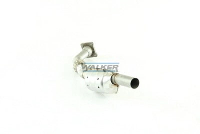 20261 Walker