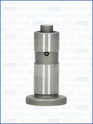 Гідрокомпенсатор ST13231V5004 SAT