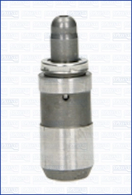 Гідрокомпенсатор 1216R0055 Ridex