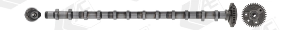 Шток двигуна, впускний BMW X5 позашляховик (E70) (2007 - 2013) ціна, від 273.25 USD