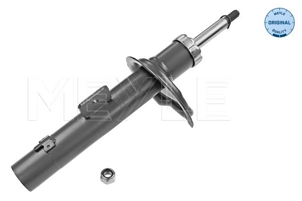 Амортизатор передній, правий Qsp-m 13631 ціна, від 35.40 USD