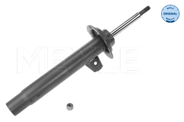 Амортизатор передній, правий DTW 101941GAS ціна, від 62.13 USD