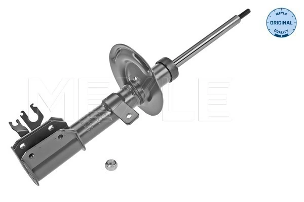 Амортизатор передній, правий Magneti Marelli 1947GRQ ціна, від 44.25 USD