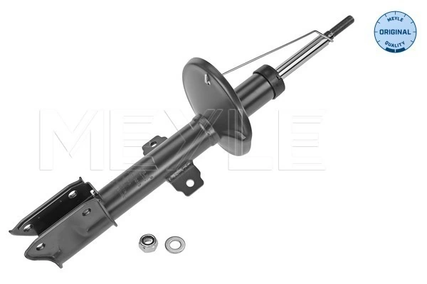Стойка амортизатора передняя Goodrem RA0013 ціна, від 35.98 USD
