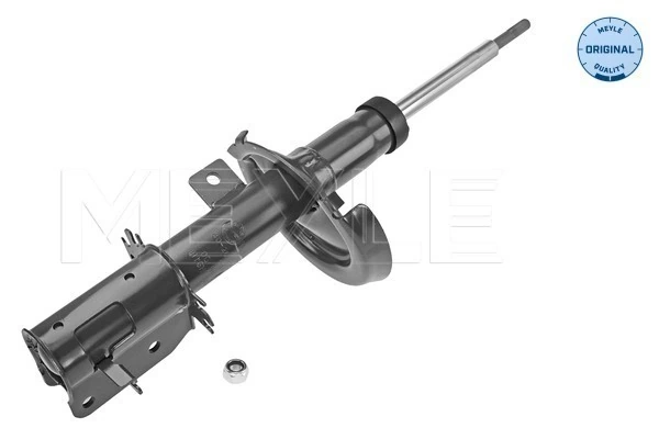 Амортизатор передній, правий Magneti Marelli 7254GR ціна, від 56.03 USD