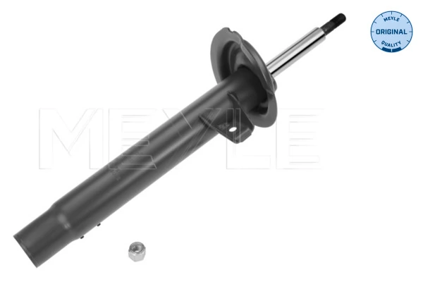 Амортизатора передній лівий VNED993 Bilstein