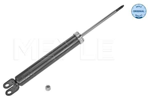 Купити FR461907 ASM Стійка амортизатора задня