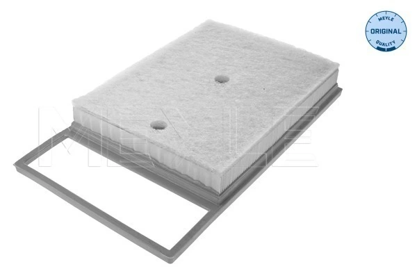 Повітряний фільтр двигуна на Skoda Rapid  NH3, NK3, NK6