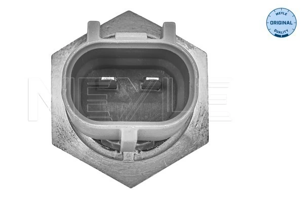 Датчик температури повітряної суміші на Toyota Auris UKP E15