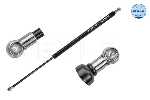 Амортизатор кришки багажника / двері 3/5-ї задньої на Renault Scenic II JM0, JM1