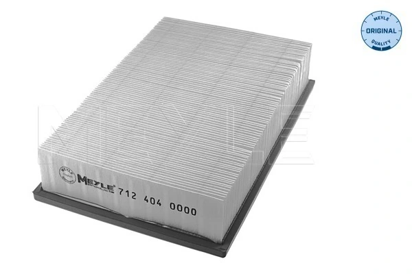 T113338 Ford Повітряний фільтр двигуна