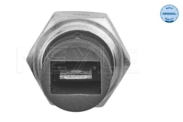 TM106 GAZ Датчик температури охл.жідкості, на прилад