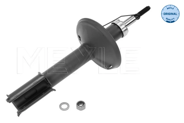 Стойка амортизатора передняя Qsp-m 68435 ціна, від 34.24 USD