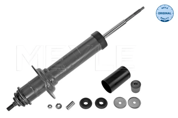 Амортизатор задній Depo/Loro/Abakus 23202052 ціна, від 70.46 USD