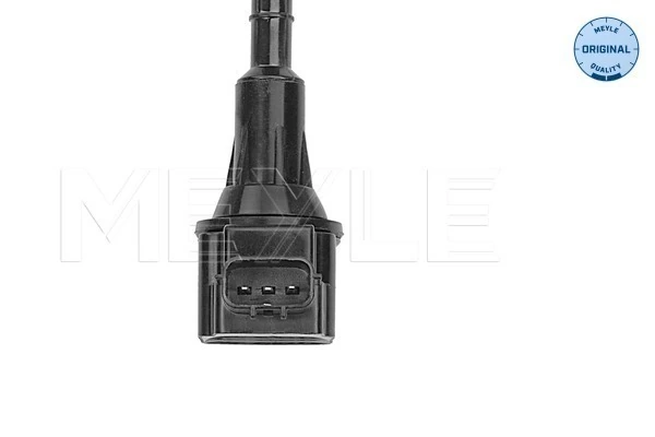 Котушка запалювання Renault (RVI) 1721041920 ціна, від 14.84 USD