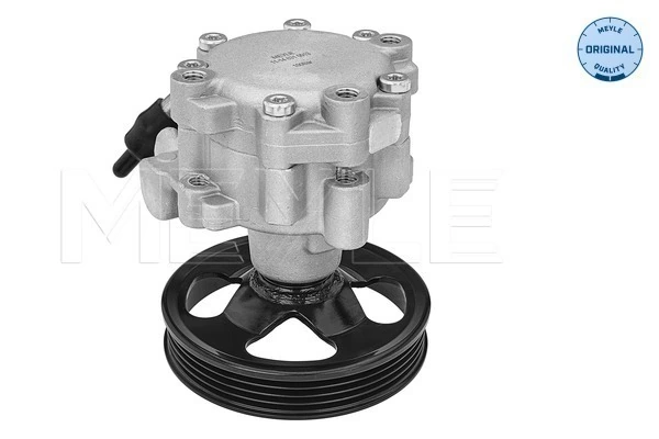 SP81306 ERA Benelux Насос гідропідсилювача