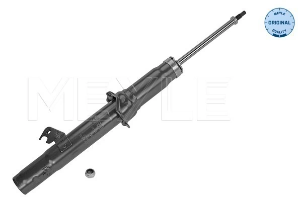 Амортизатор передній, правий BNEB291 Bilstein