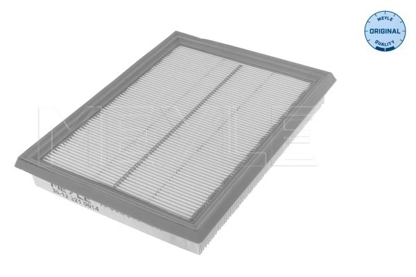 Повітряний фільтр 16546JG30A Renault (RVI)