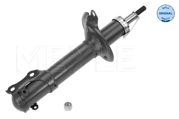 Стойка амортизатора передняя DTW 101069KIT ціна, від 42.13 USD
