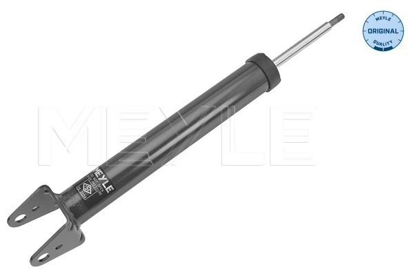 Амортизатор задній Arnott AOSK2868 ціна, від 78.14 USD
