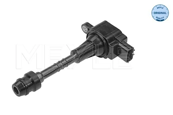 1721041920 Renault (RVI) Котушка запалювання