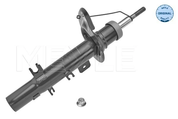 9676635880 Peugeot/Citroen Ліва передня стійка