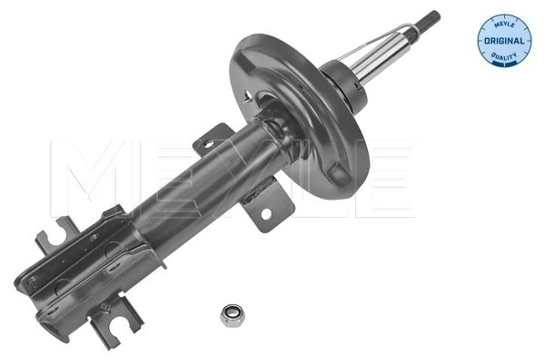 Стойка амортизатора передняя Magneti Marelli 1950GQ ціна, від 69.21 USD
