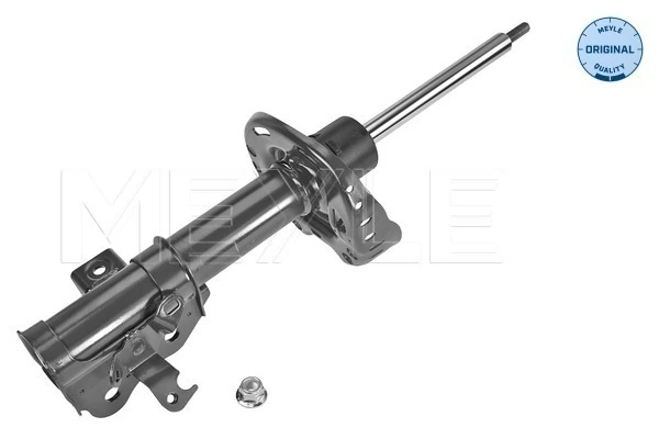 Амортизатор передній, правий Raiso RS313592 ціна, від 41.57 USD