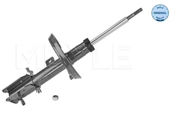 Амортизатор передньої підвіски, лівий Asam 05583 ціна, від 58.34 USD