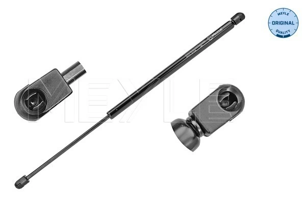 GS0738 Magneti Marelli Амортизатор кришки багажника / двері 3/5-ї задньої