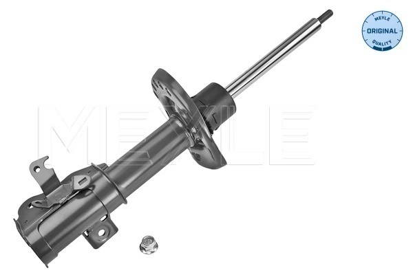 Амортизатор передньої підвіски, лівий Raiso RS313591 ціна, від 42.43 USD