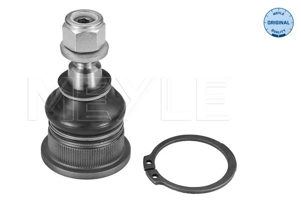 Купити 401605723R Renault (RVI) Кульова опора, нижня