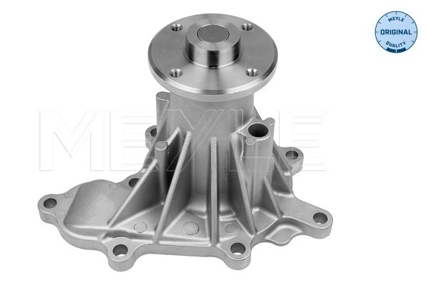 Помпа охолодження Renault (RVI) 21010EB300 ціна, від 29.29 USD