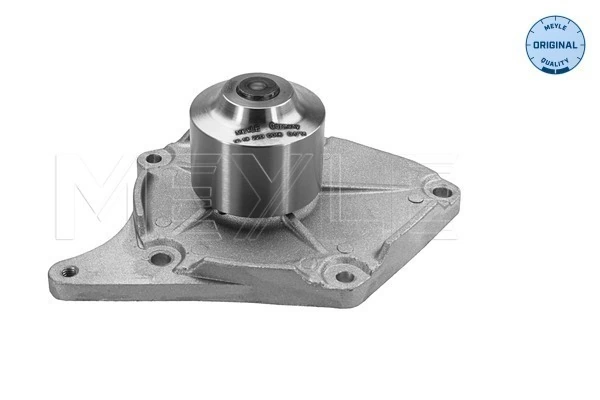 Помпа охолодження Renault Laguna III хетчбек (BT0, BT1) (2007 - 2015) ціна, від 38.62 USD