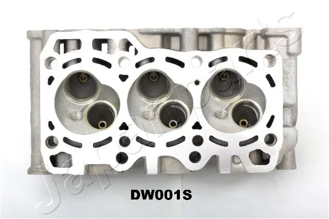 Головка блоку циліндрів Japan Parts XXDW001S