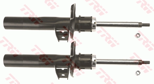 Амортизатор передній 8660005921 Renault (RVI)