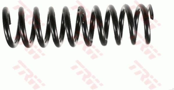 Купити LS4256816 Lesjofors Задні пружини