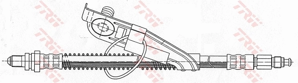 BS1001 DP Group Гальмівний шланг