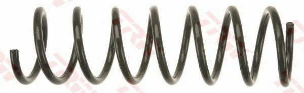 Задні пружини RP1096 Goodrem